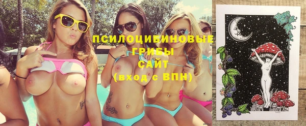 сатива Нефтекумск