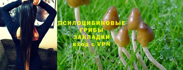 сатива Нефтекумск