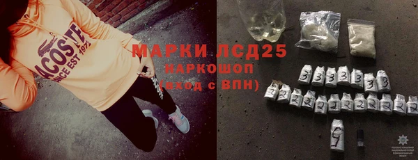 сатива Нефтекумск