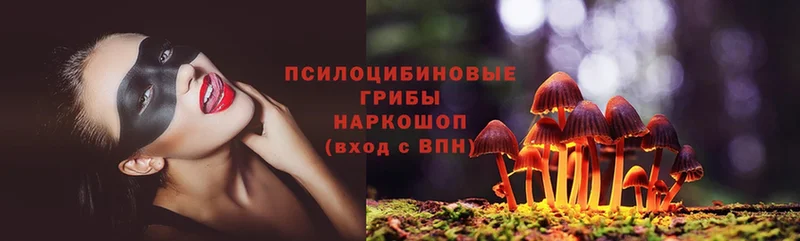 Галлюциногенные грибы MAGIC MUSHROOMS Красновишерск